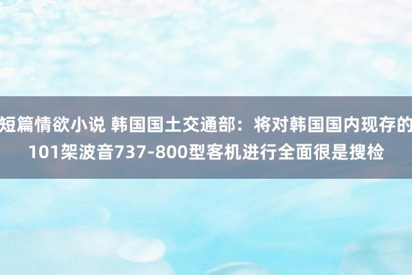 短篇情欲小说 韩国国土交通部：将对韩国国内现存的101架波音737-800型客机进行全面很是搜检