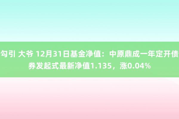 勾引 大爷 12月31日基金净值：中原鼎成一年定开债券发起式最新净值1.135，涨0.04%