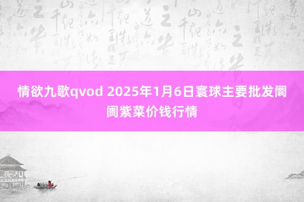 情欲九歌qvod 2025年1月6日寰球主要批发阛阓紫菜价钱行情