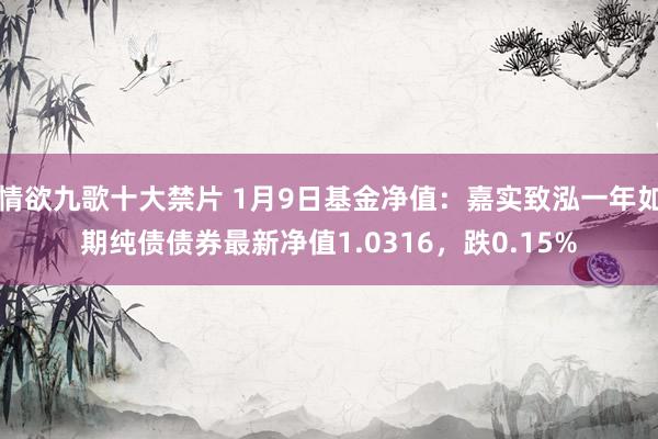 情欲九歌十大禁片 1月9日基金净值：嘉实致泓一年如期纯债债券最新净值1.0316，跌0.15%