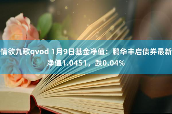 情欲九歌qvod 1月9日基金净值：鹏华丰启债券最新净值1.0451，跌0.04%