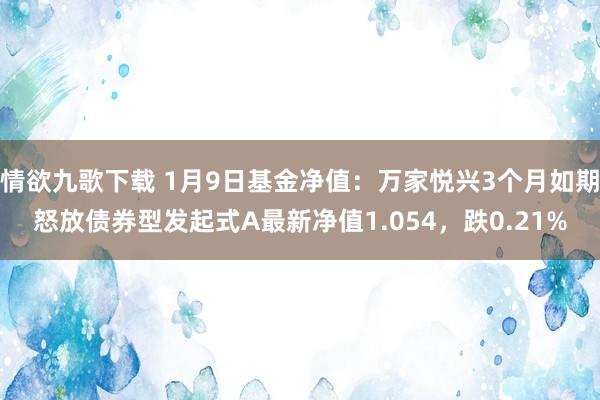 情欲九歌下载 1月9日基金净值：万家悦兴3个月如期怒放债券型发起式A最新净值1.054，跌0.21%