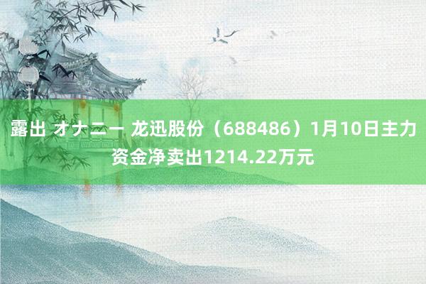 露出 オナニー 龙迅股份（688486）1月10日主力资金净卖出1214.22万元