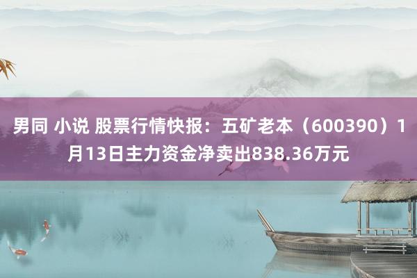 男同 小说 股票行情快报：五矿老本（600390）1月13日主力资金净卖出838.36万元