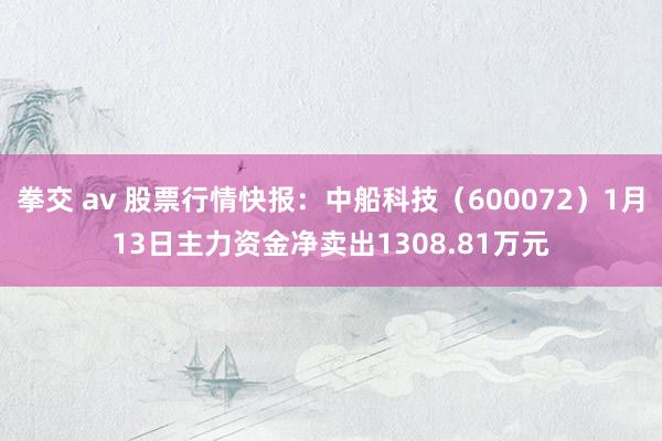 拳交 av 股票行情快报：中船科技（600072）1月13日主力资金净卖出1308.81万元