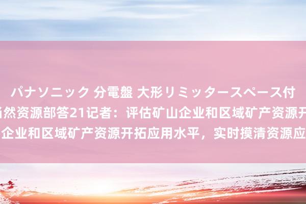 パナソニック 分電盤 大形リミッタースペース付 露出・半埋込両用形 当然资源部答21记者：评估矿山企业和区域矿产资源开拓应用水平，实时摸清资源应用家底