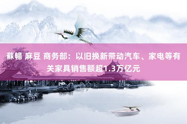 蘇暢 麻豆 商务部：以旧换新带动汽车、家电等有关家具销售额超1.3万亿元