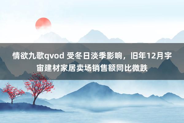 情欲九歌qvod 受冬日淡季影响，旧年12月宇宙建材家居卖场销售额同比微跌