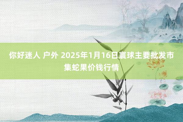 你好迷人 户外 2025年1月16日寰球主要批发市集蛇果价钱行情