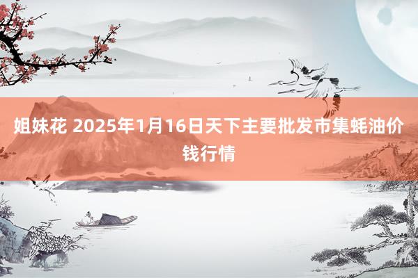 姐妹花 2025年1月16日天下主要批发市集蚝油价钱行情