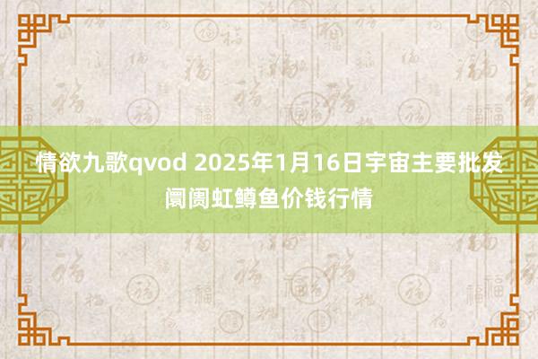 情欲九歌qvod 2025年1月16日宇宙主要批发阛阓虹鳟鱼价钱行情