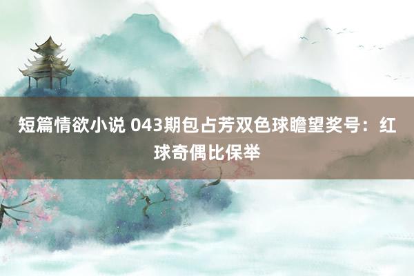 短篇情欲小说 043期包占芳双色球瞻望奖号：红球奇偶比保举
